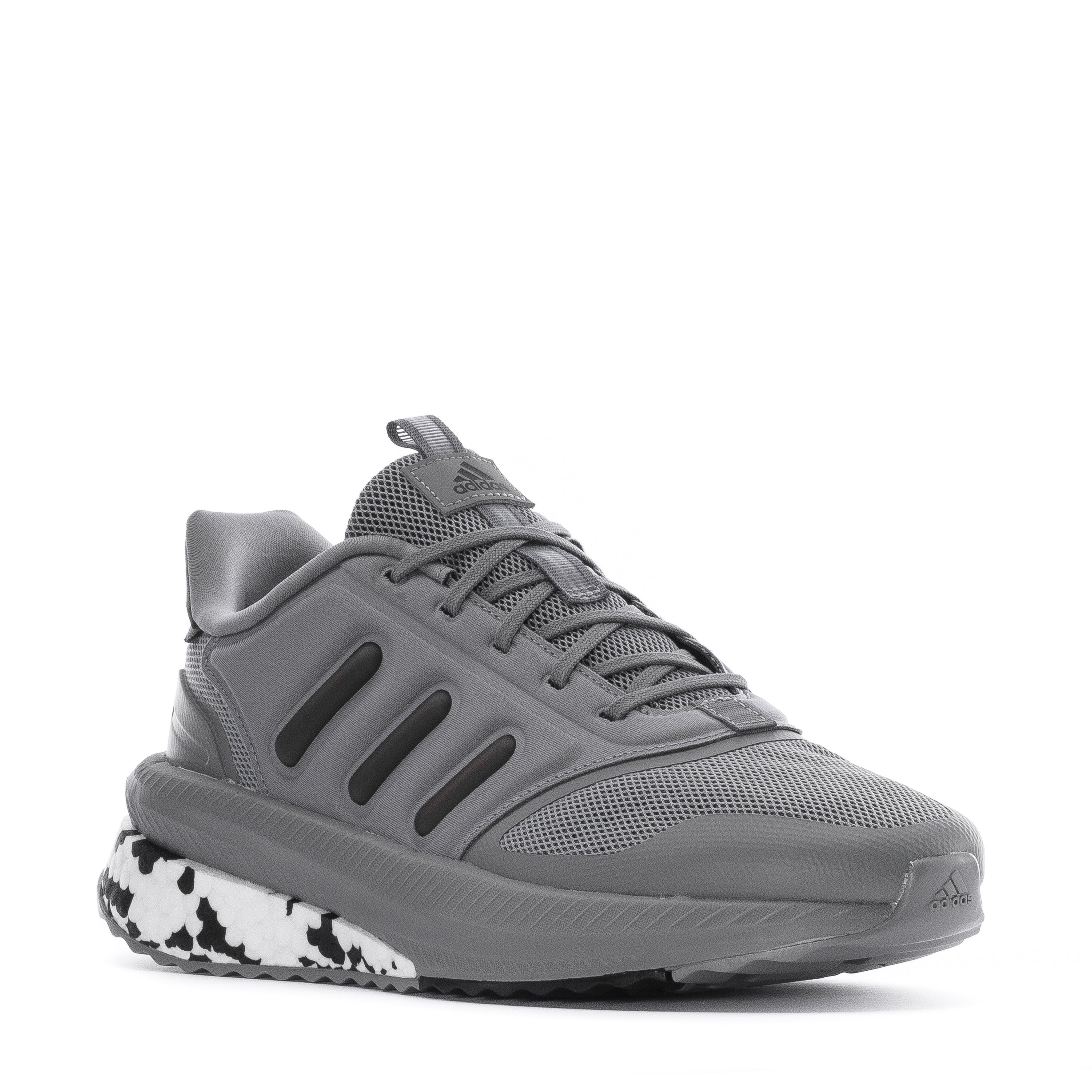 Fase X_PLR - Hombres