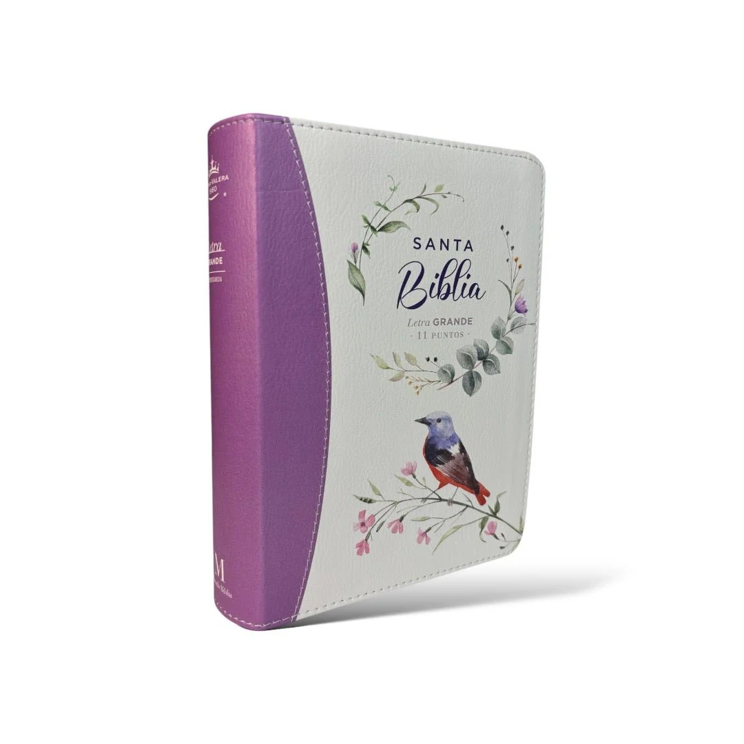 BIBLIA REINA VALERA 1960 COLECCION PRIMAVERA LILA CLARO