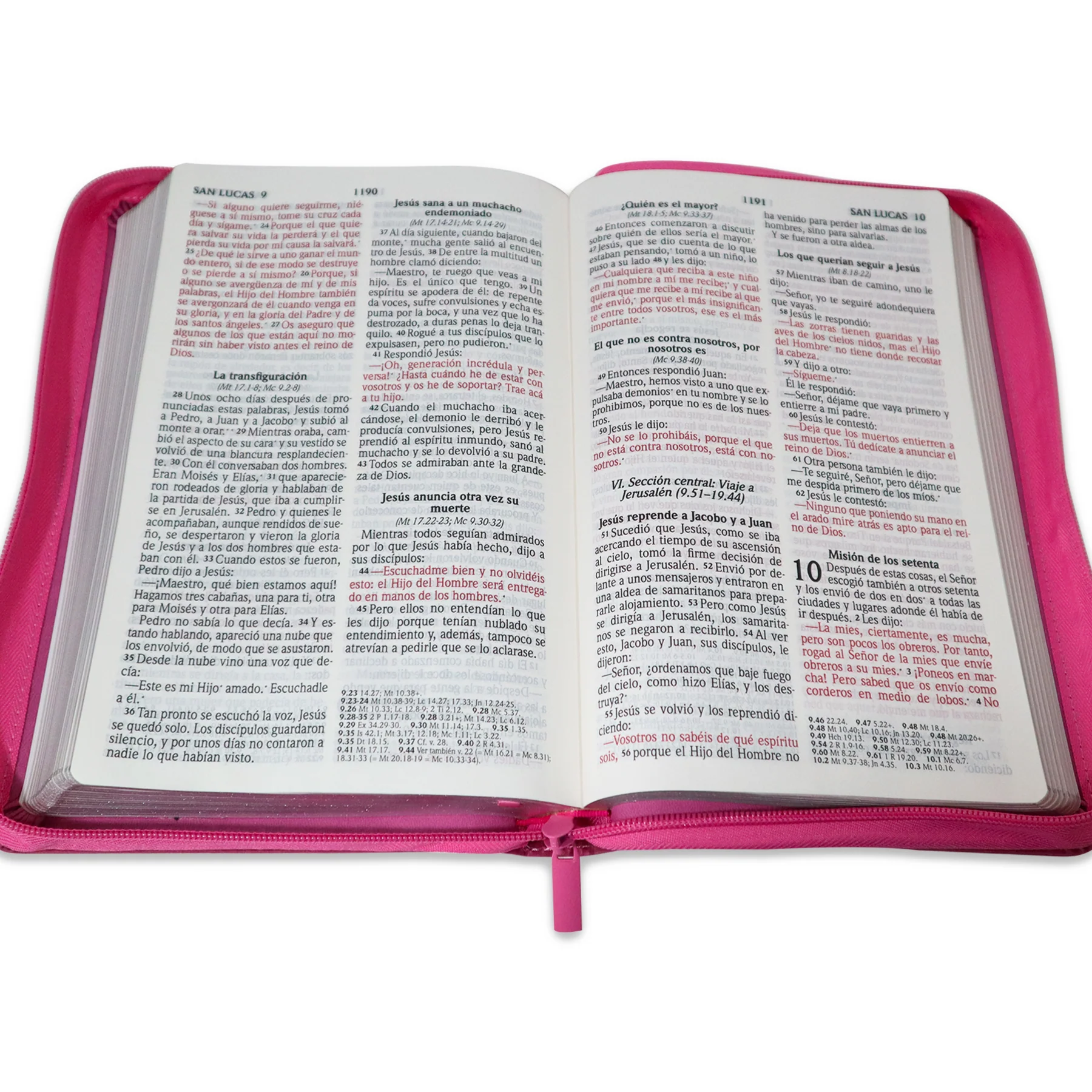 SANTA BIBLIA REINA VALERA 2020