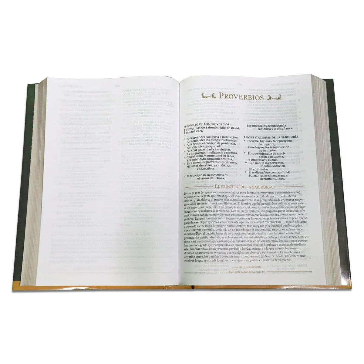 BIBLIA REINA VALERA  REFLEXIONES DE C.S LEWIS TAPA DURA