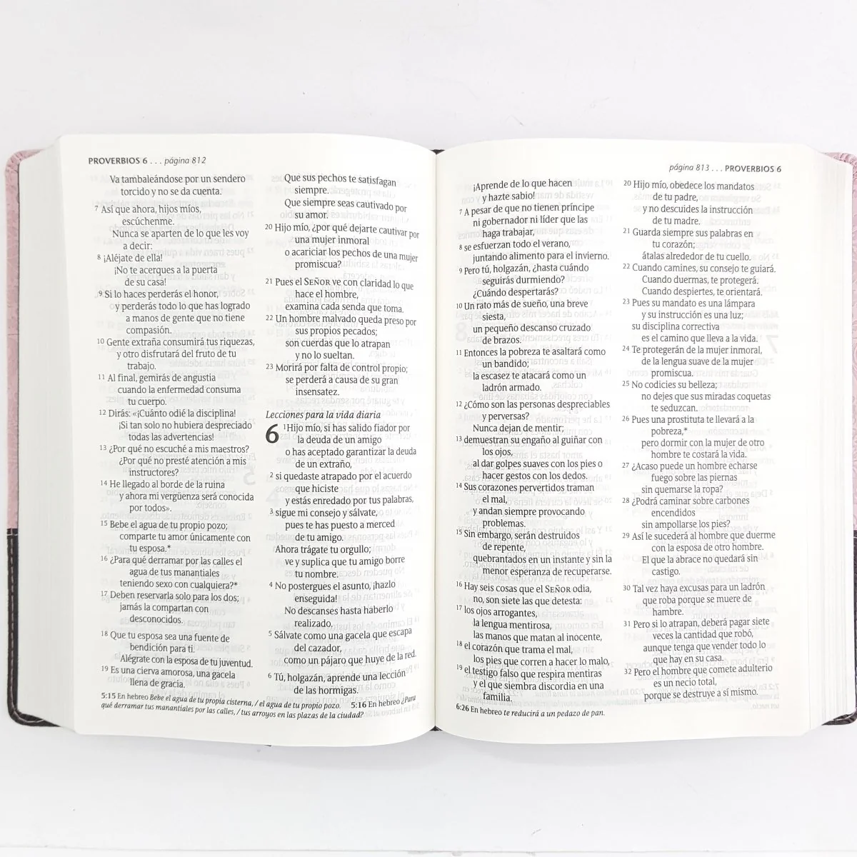 Santa Biblia NTV Edición personal sentipiel Rosa/Café con Indice