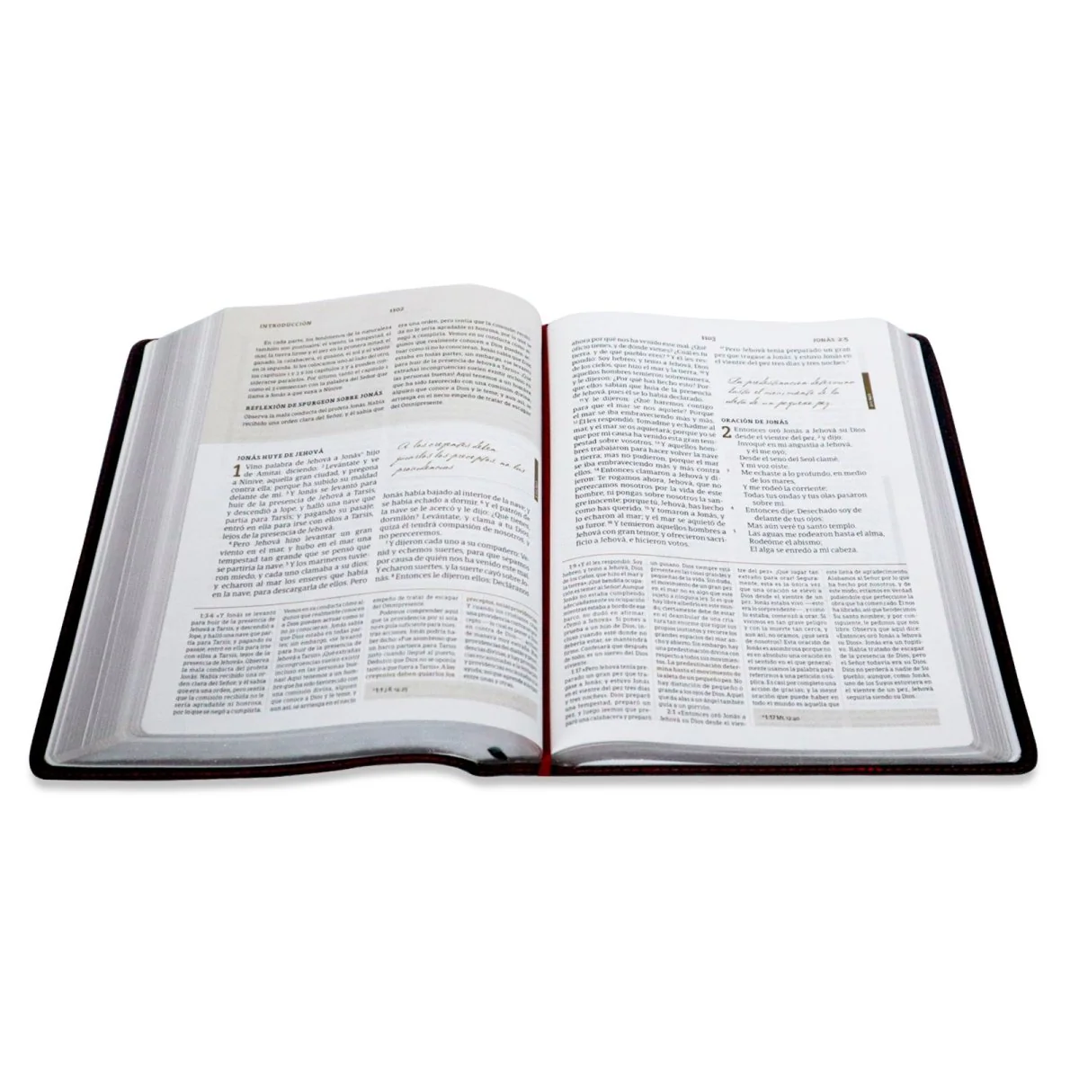 Biblia de estudio Spurgeon RVR1960 Piel Genuina