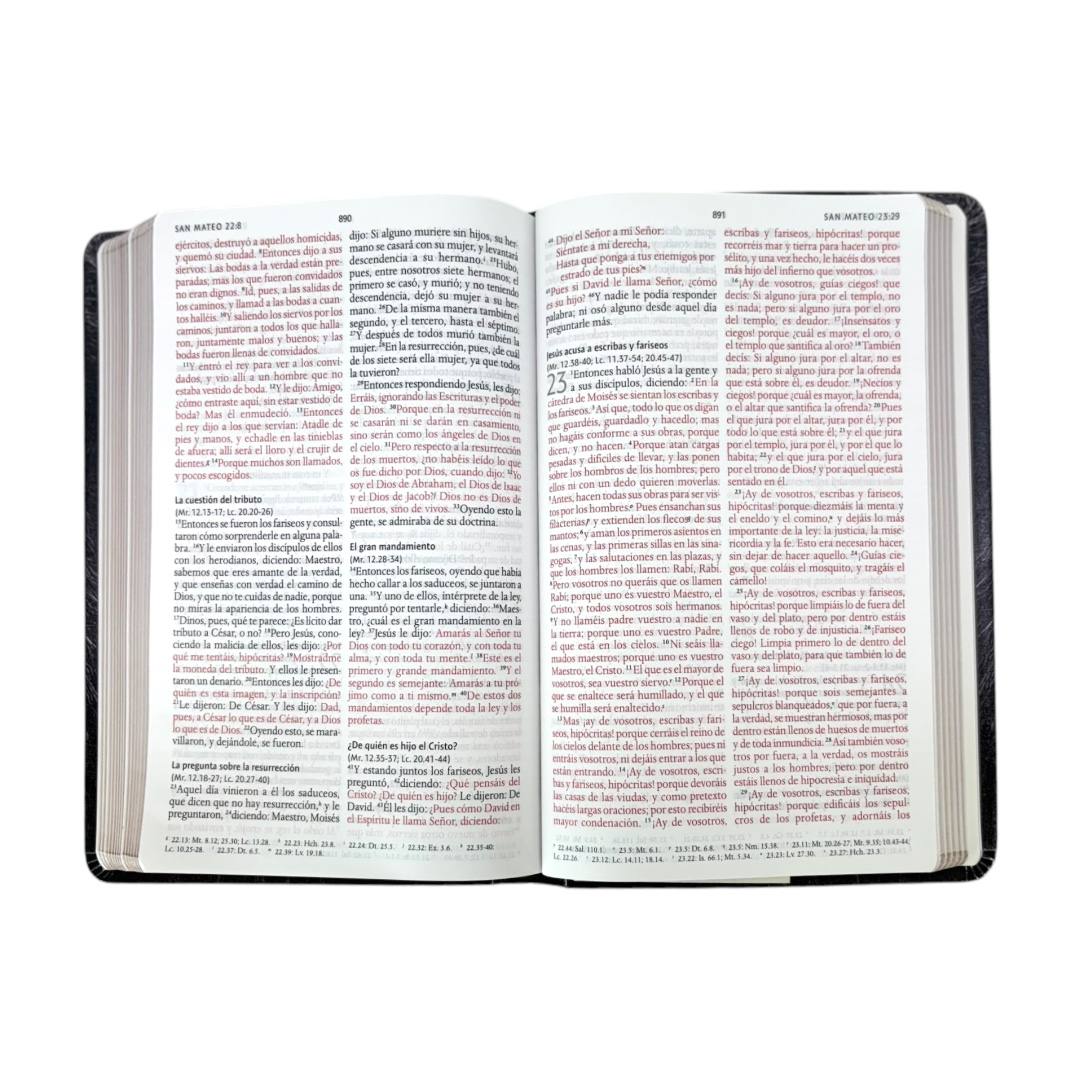 BIBLIA REINA VALERA 1960 LEÓN SIMIL PIEL