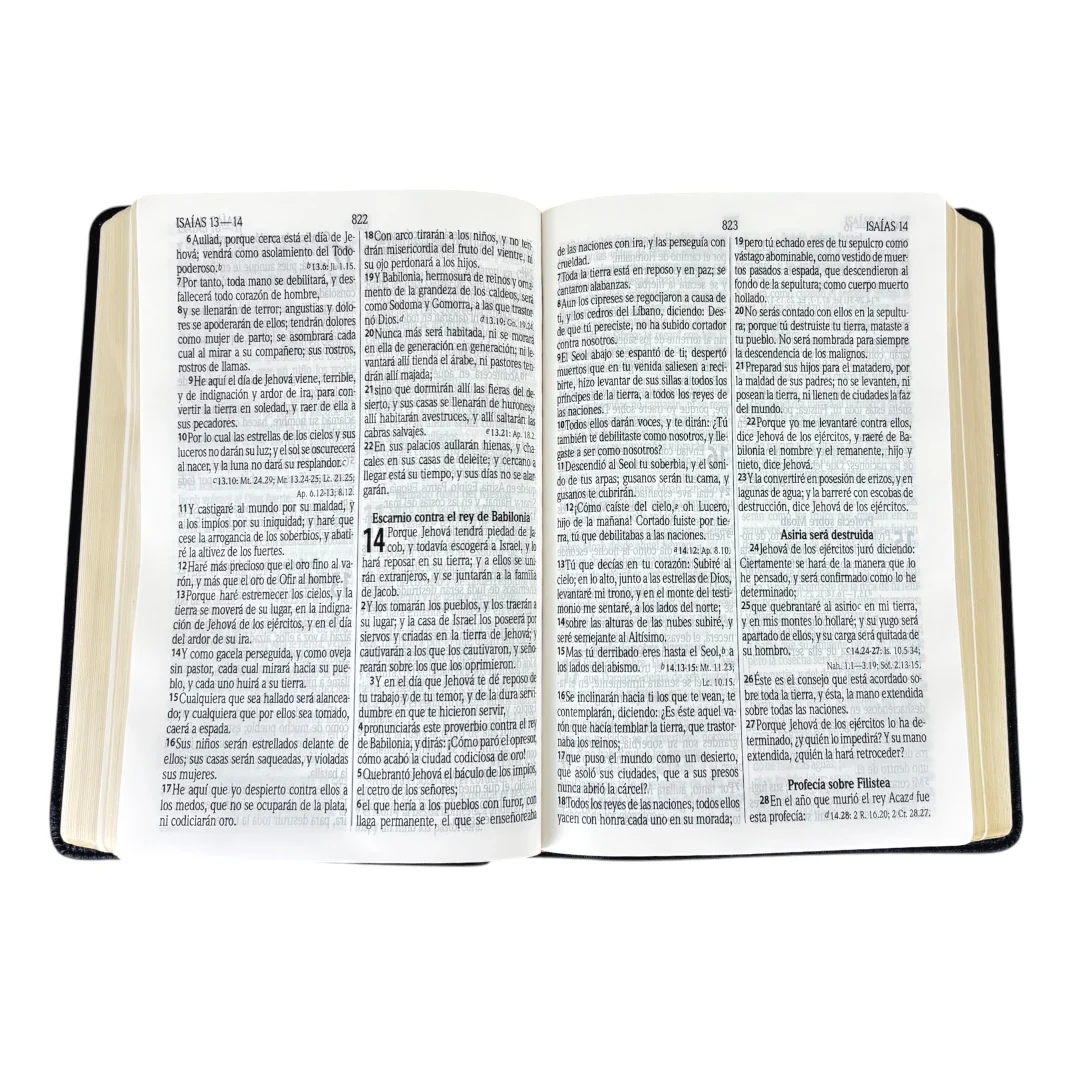 BIBLIA REINA VALERA 1960 PASTORAL IMITACION PIEL AZUL LETRA GRANDE