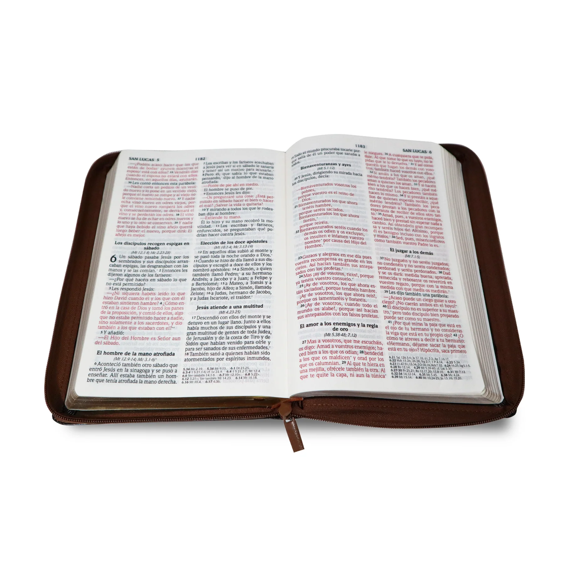 SANTA BIBLIA REINA VALERA 2020