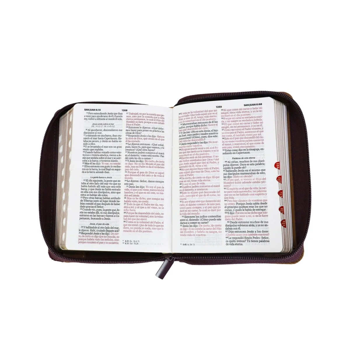 BIBLIA REINA VALERA 1960 TAMAÑO BOLSILLO ELEGANTE CAFE C/CIERRE