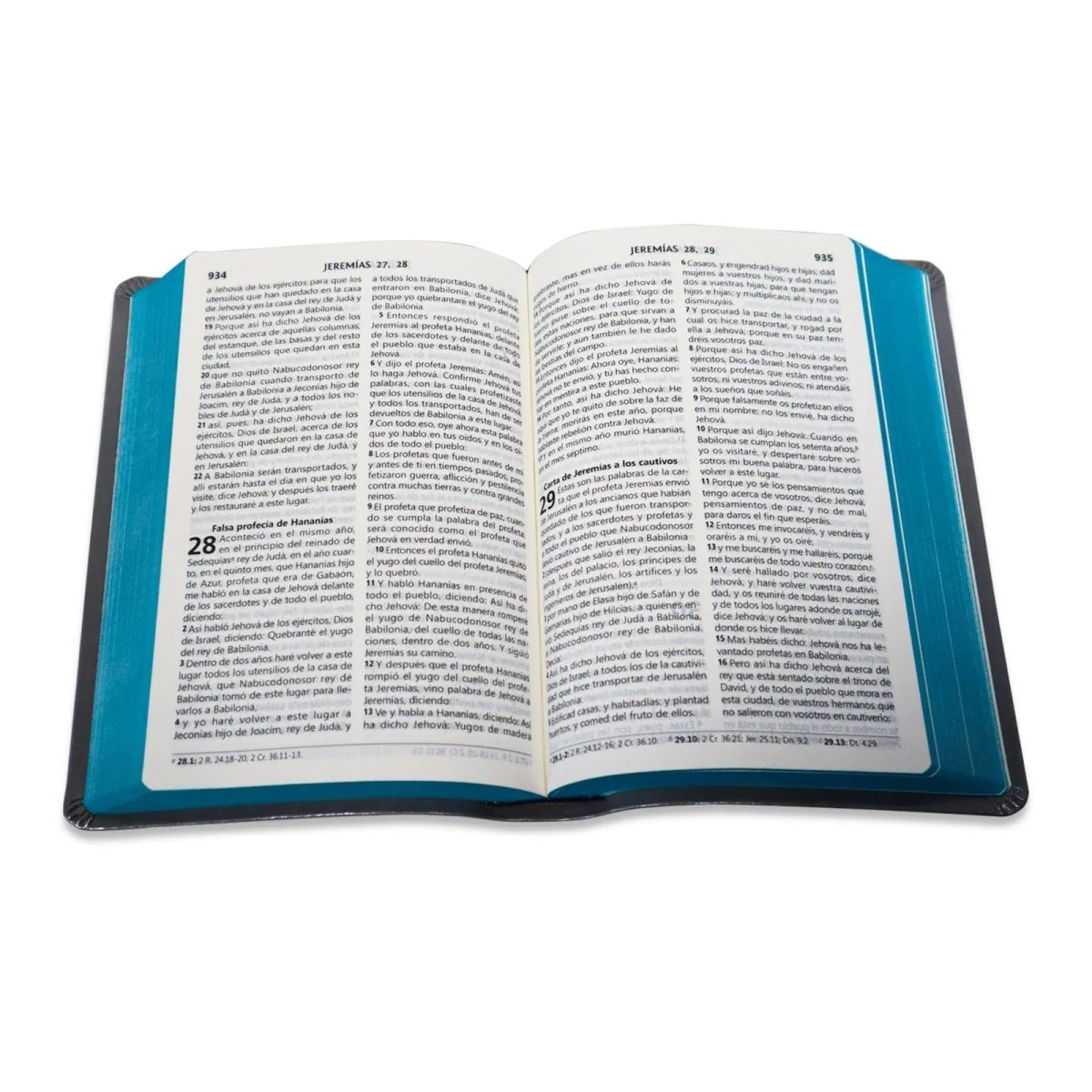 BIBLIA REINA VALERA 1960 LETRA GRANDE CONCORDANCIA/ GRIS