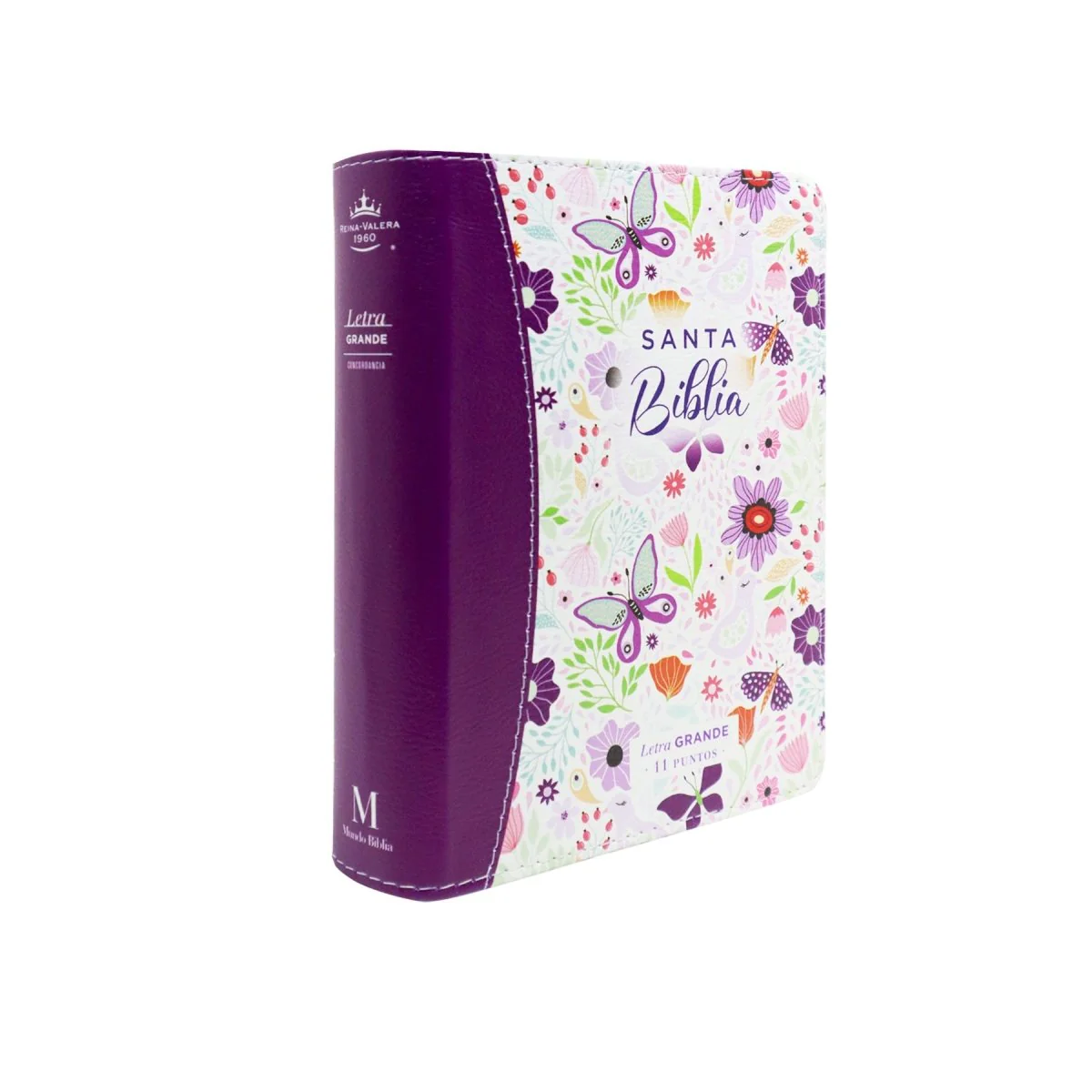 BIBLIA REINA VALERA 1960 LETRA GRANDE COMPACTA/ CANTO PINTADO