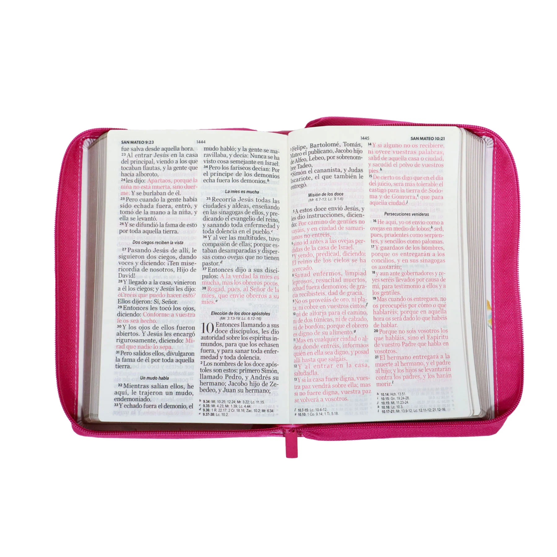 BIBLIA REINA VALERA 1960 LETRA GIGANTE MANUAL FLORES ROSA