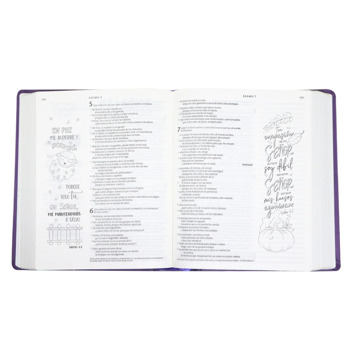 BIBLIA DE APUNTES INSPIRA NTV LAVANDA