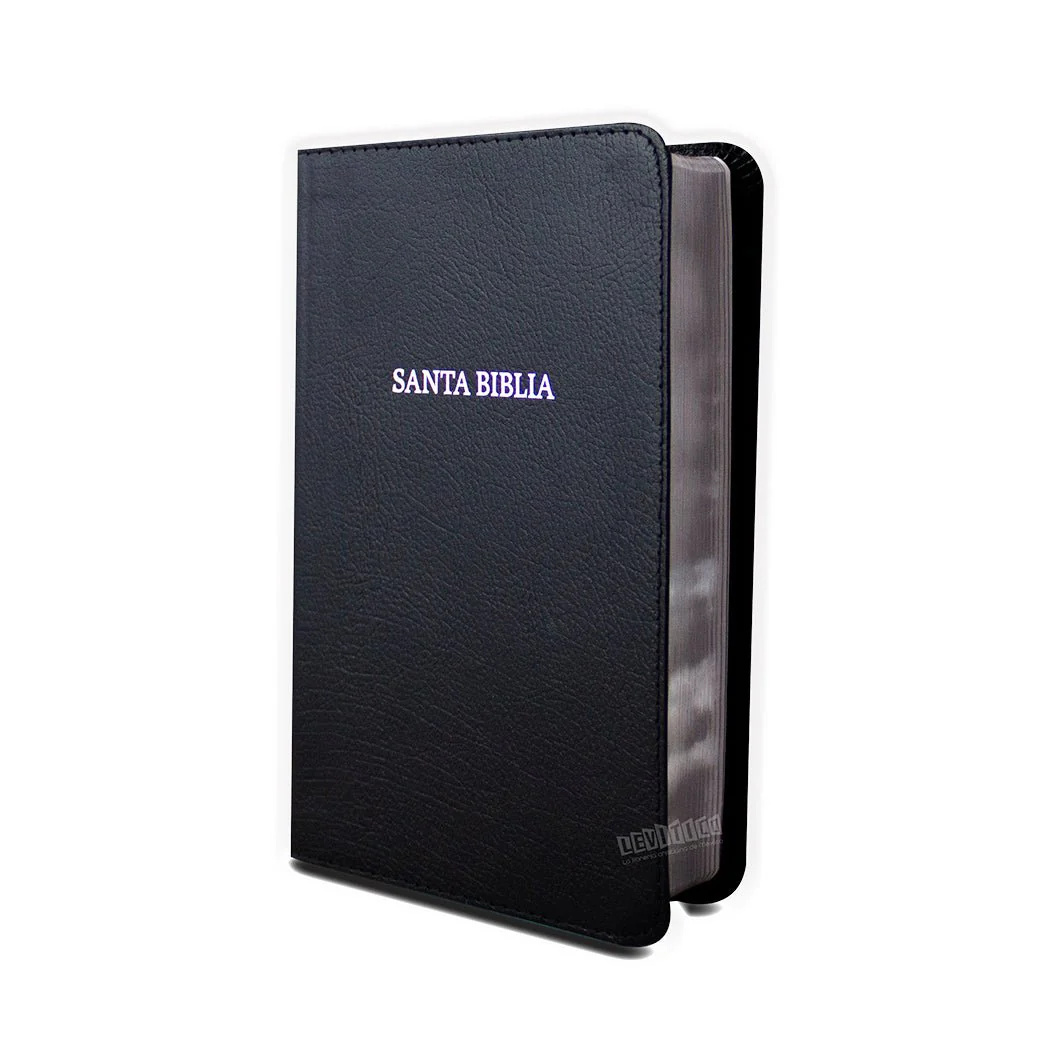 Biblia NVI Compacta Letra Grande, Piel fabricada