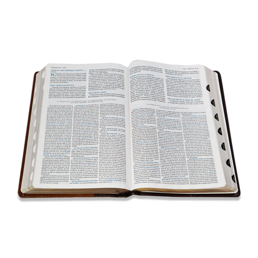 BIBLIA DE ESTUDIO MACARTHUR NBLA SENTIPIEL CAFE C/ INDICE