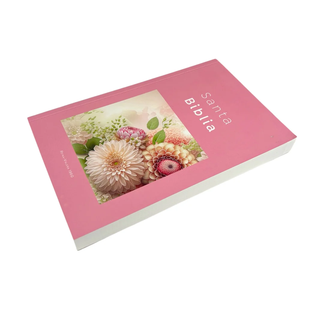 BIBLIA REINA VALERA 1960 ECONOMICA RUSTICA DISEÑOS