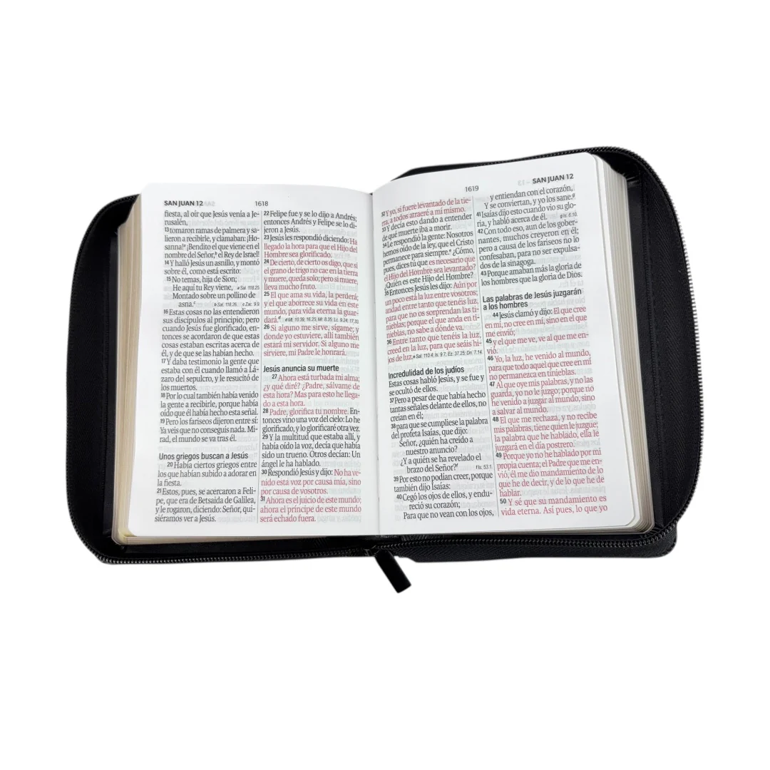 BIBLIA REINA VALERA 1960 LETRA GRANDE IMITACION PIEL COMPACTA CANTO DORADO DISEÑO GEOMETRICO