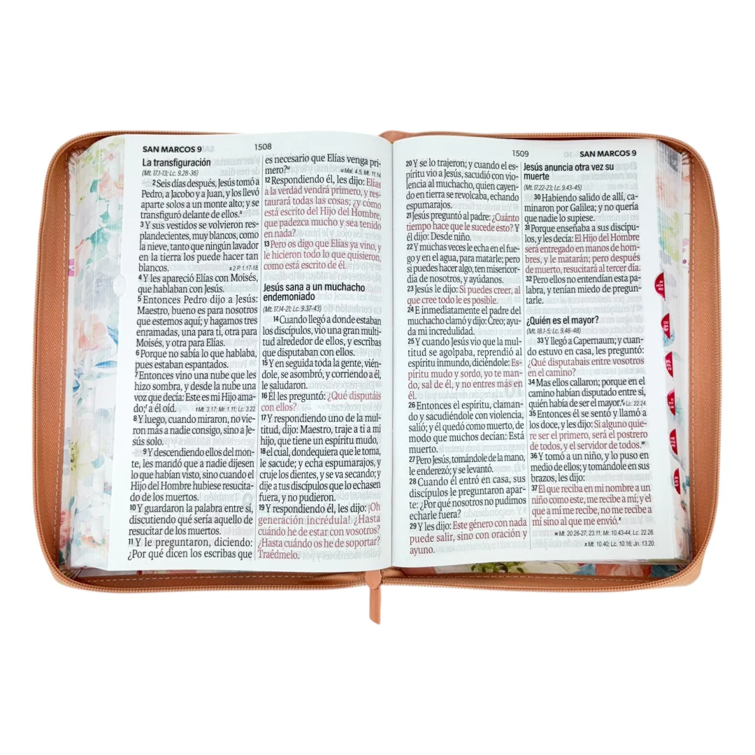 BIBLIA REINA VALERA 1960 SÚPER GIGANTE JARDIN CANTO PINTADO  C/CIERRE INDICE  IMIT PIEL DE ALTA CALIDAD