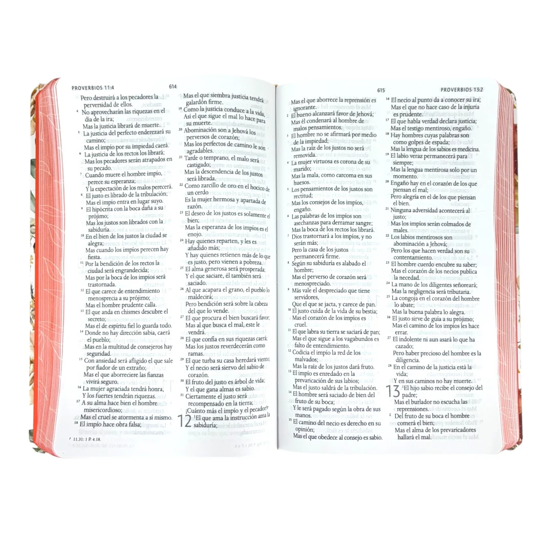 BIBLIA REINA VALERA 1960 LETRA GRANDE TAPA DURA FLORES NARANJA