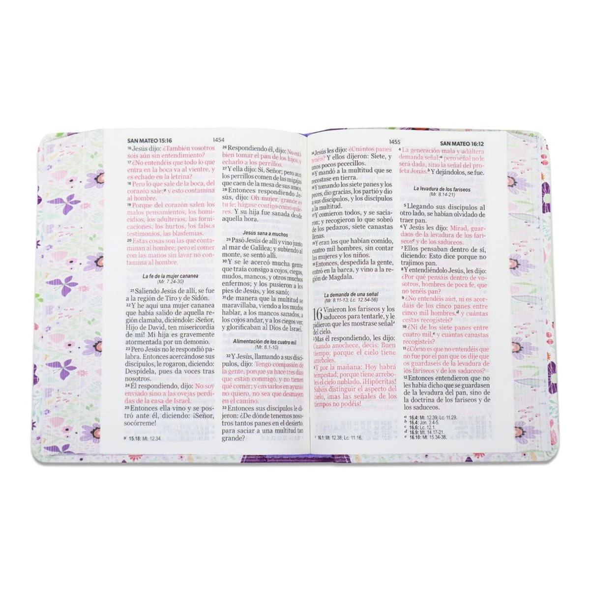 BIBLIA REINA VALERA 1960 LETRA GRANDE COMPACTA/ CANTO PINTADO