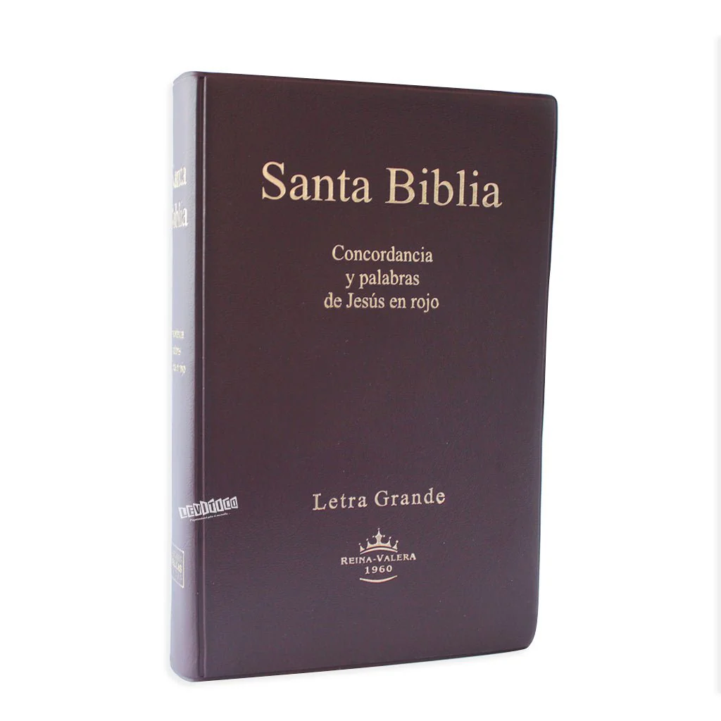 Santa Biblia RVR1960 Letra grande Vinil