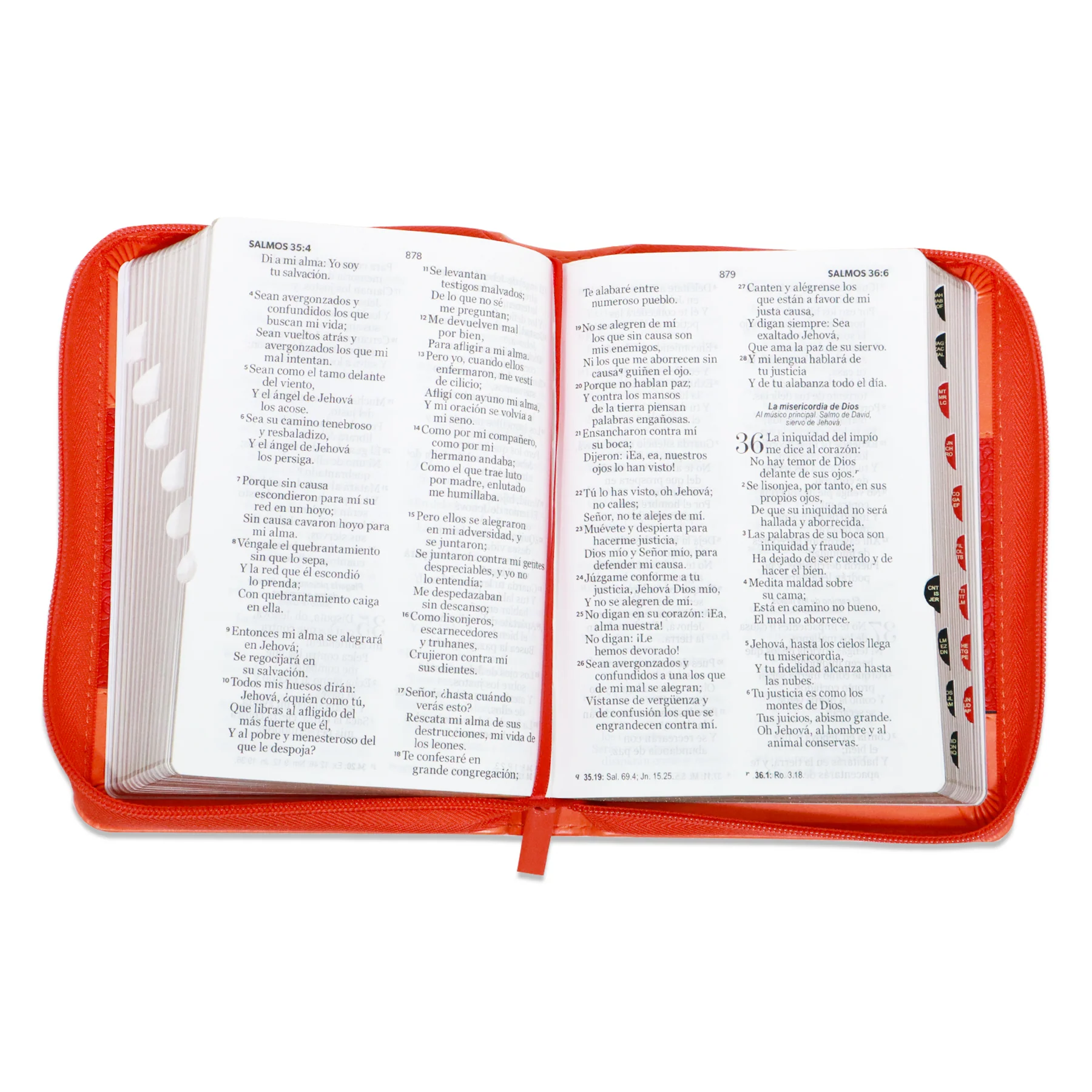 BIBLIA REINA VALERA 1960 LETRA GRANDE COMPACTA CLASSIC /CORAL INDICE