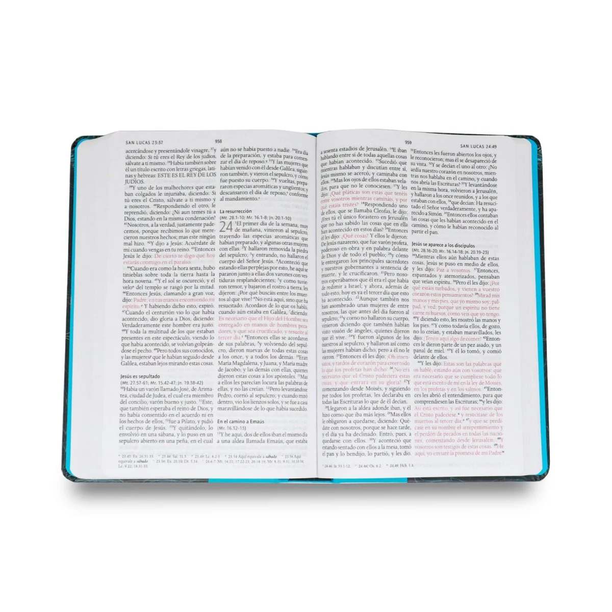 BIBLIA REINA VALERA 1960 LETRA GRANDE MANUAL TAPA DURA TELA LEÓN