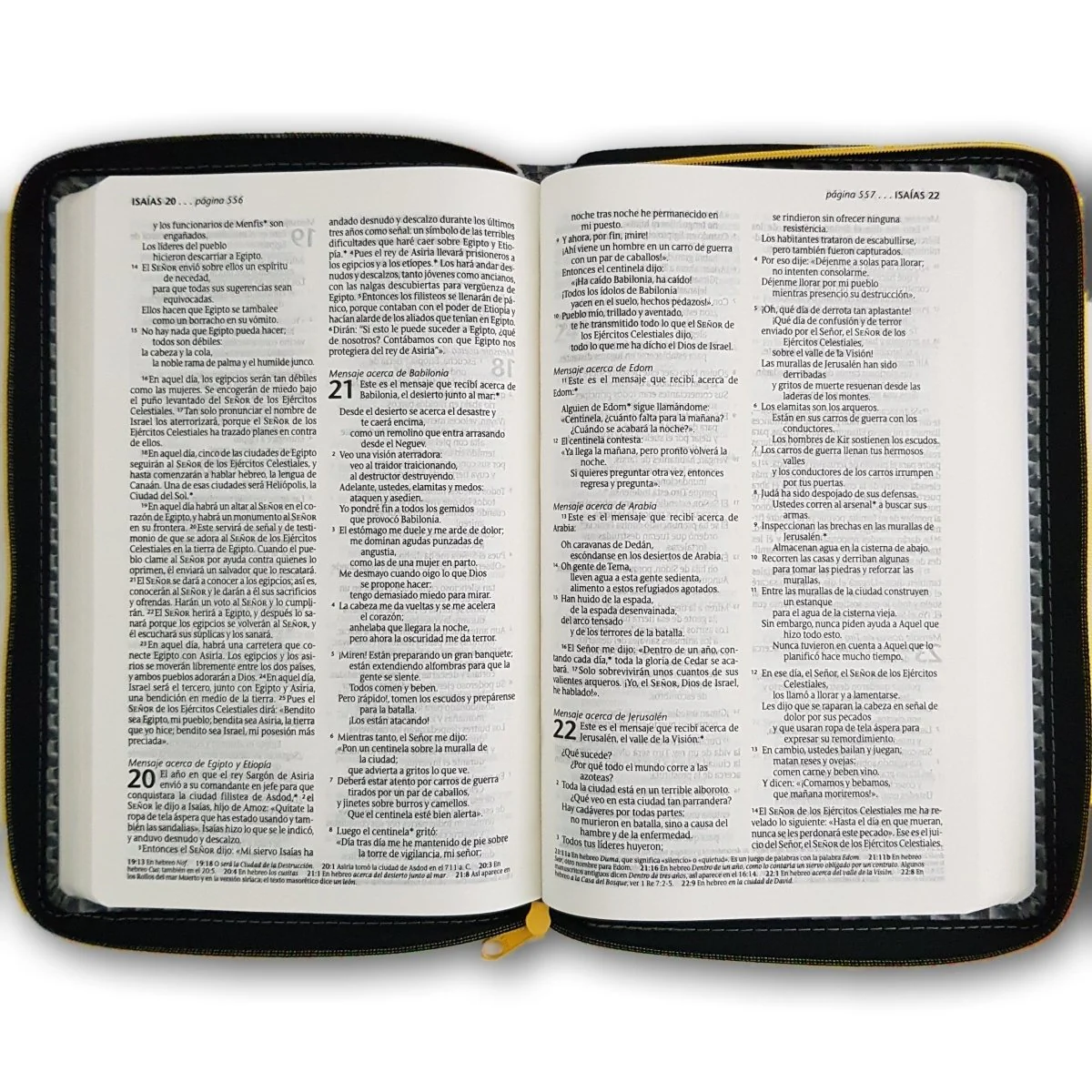 Santa Biblia NTV Edición zíper sentipiel Gris