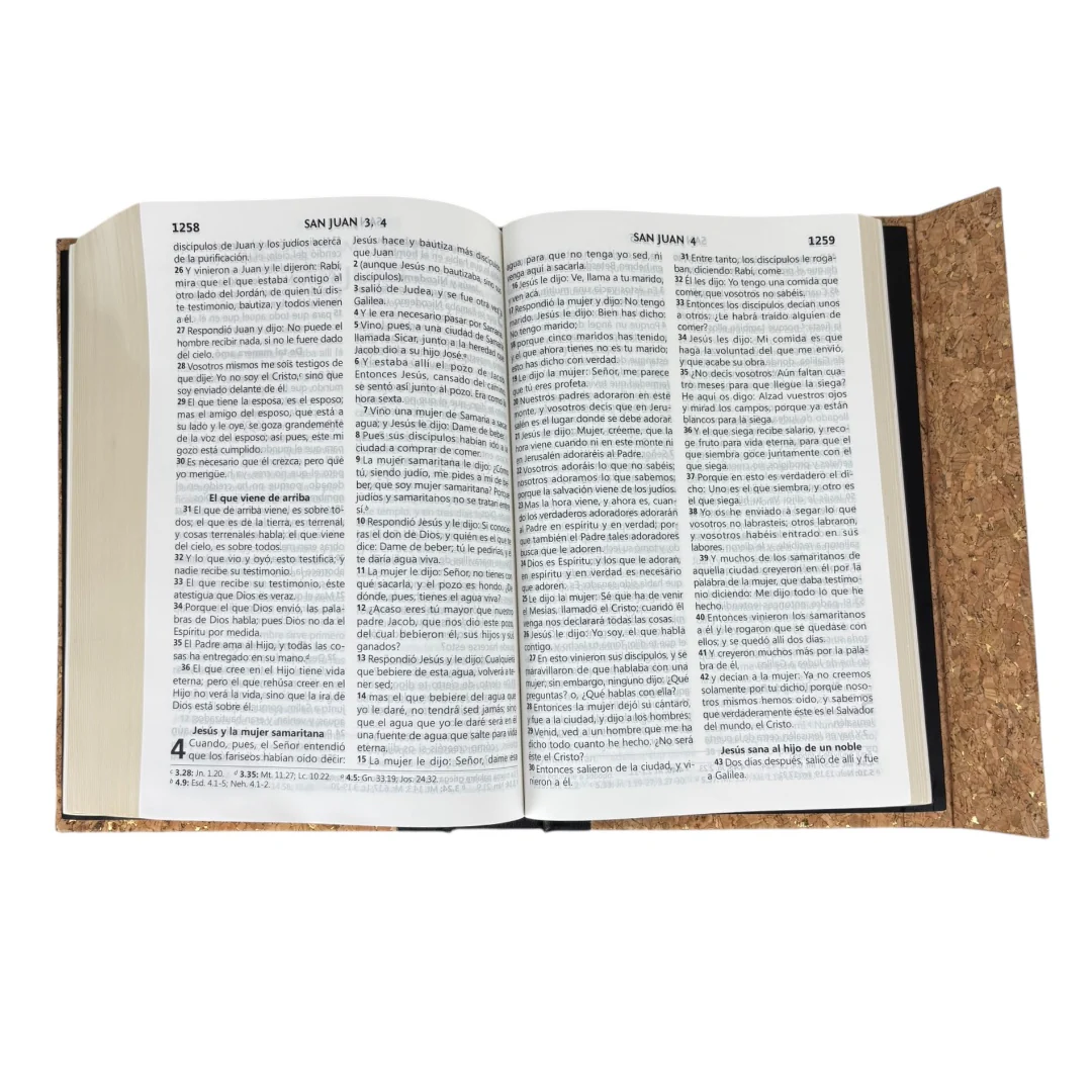 BIBLIA REINA VALERA 1960  LETRA GRANDE MANUAL DISEÑO CORCHO SOLAPA