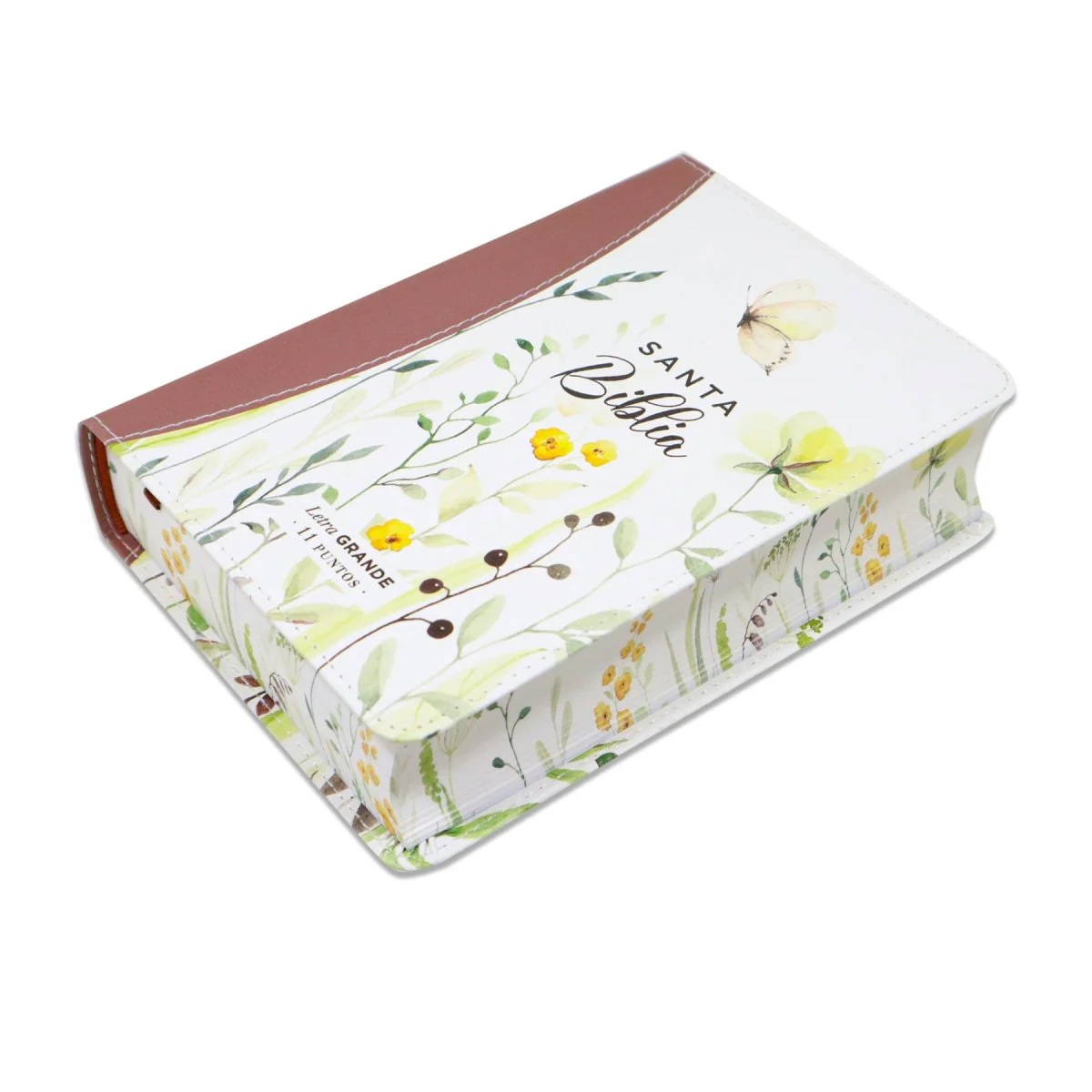 BIBLIA REINA VALERA 1960 LETRA GRANDE COMPACTA/ CANTO PINTADO