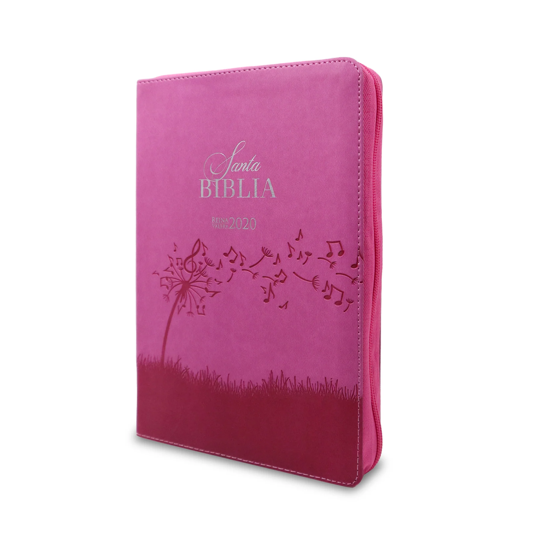 SANTA BIBLIA REINA VALERA 2020