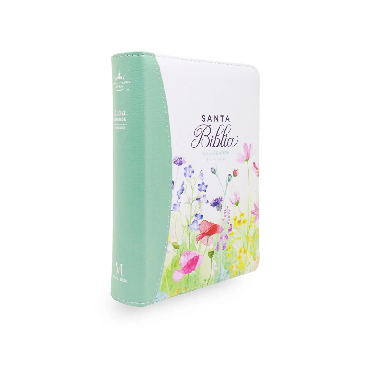 BIBLIA REINA VALERA 1960 LETRA GRANDE COMPACTA CIERRE  CANTO PINTADO