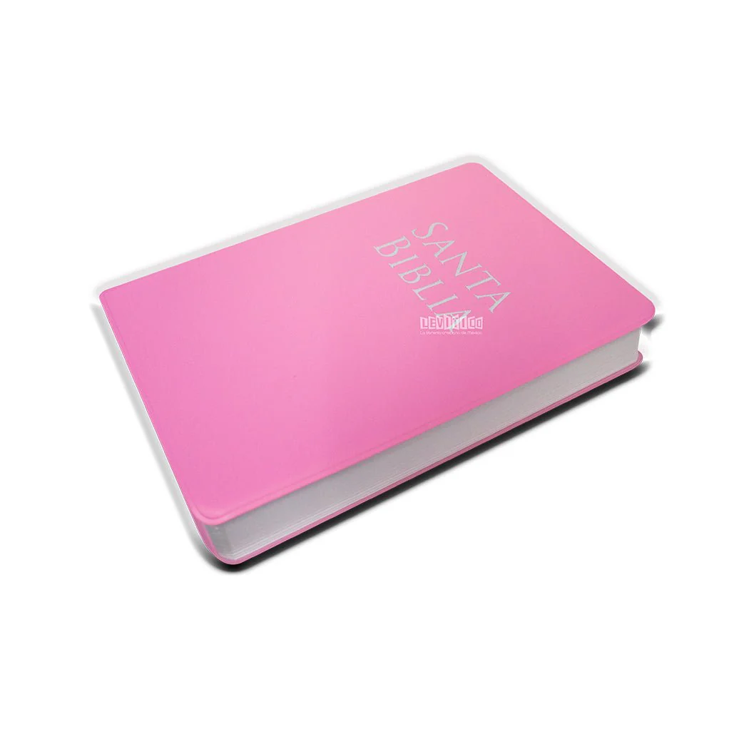 Biblia Reina Valera 1960  Letra Grande Tamaño Manual c/Referencias vinil