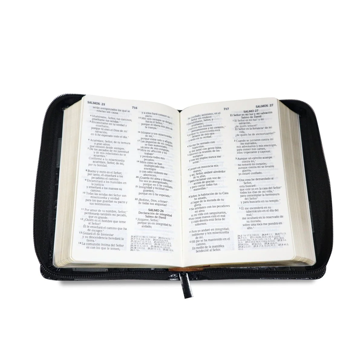 BIBLIA REINA VALERA 2020 LETRA GRANDE C/CIERRE