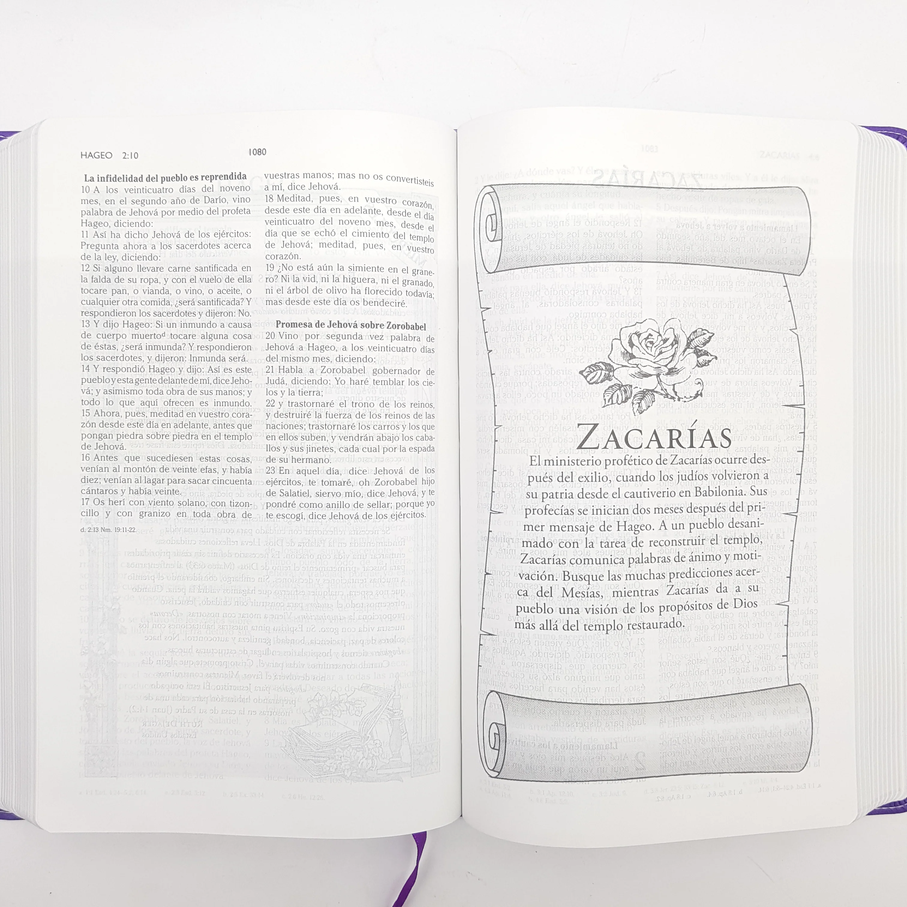 Biblia Mi día con Dios (Devocional) Pasta sencilla