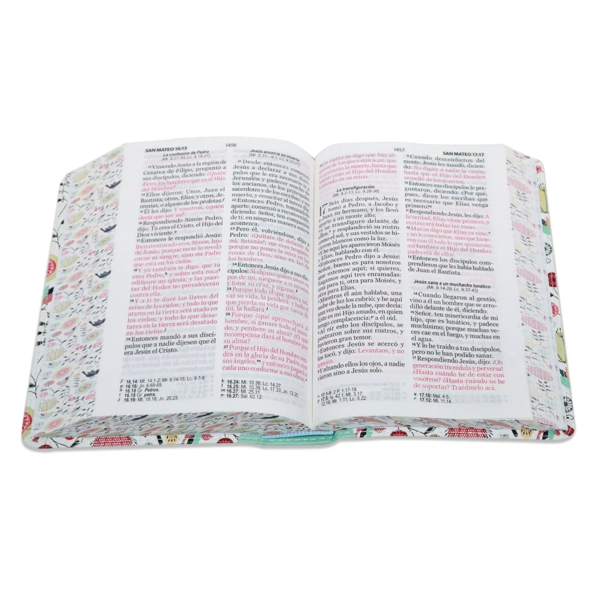 BIBLIA REINA VALERA 1960 LETRA GRANDE COMPACTA/ CANTO PINTADO