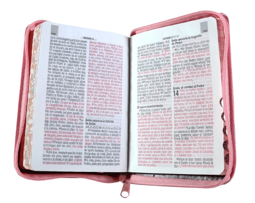 BIBLIA REINA VALERA 1960 TAMAÑO BOLSILLO: LETRA GRANDE DE ACUERDO AL TAMAÑO ROSA/MARRON