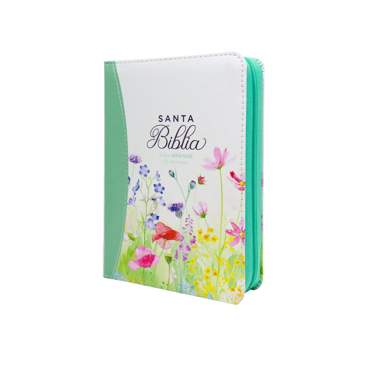 BIBLIA REINA VALERA 1960 LETRA GRANDE COMPACTA CIERRE  CANTO PINTADO