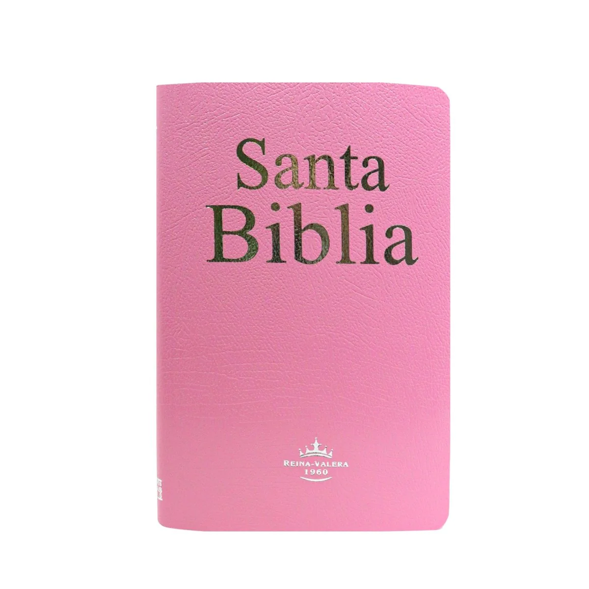 Santa Biblia Reina Valera 1960 Imitación Piel