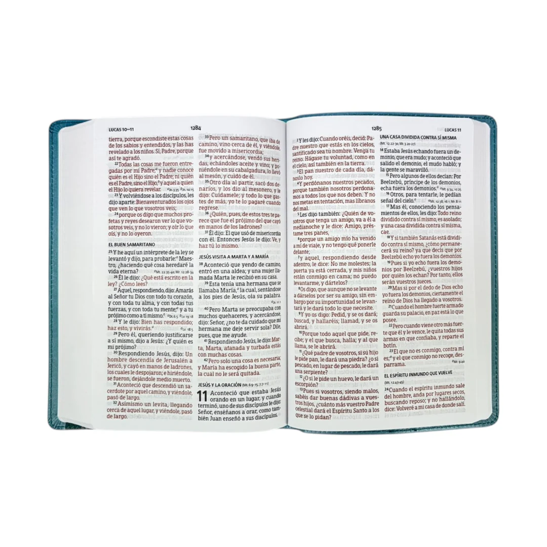 BIBLIA REINA VALERA 1960 LETRA GRANDE MANUAL EDICIÓN ESPECIAL AQUA SIMIL PIEL