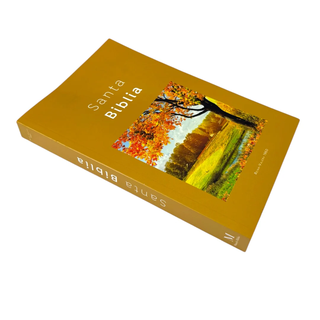 BIBLIA REINA VALERA 1960 ECONOMICA RUSTICA DISEÑOS