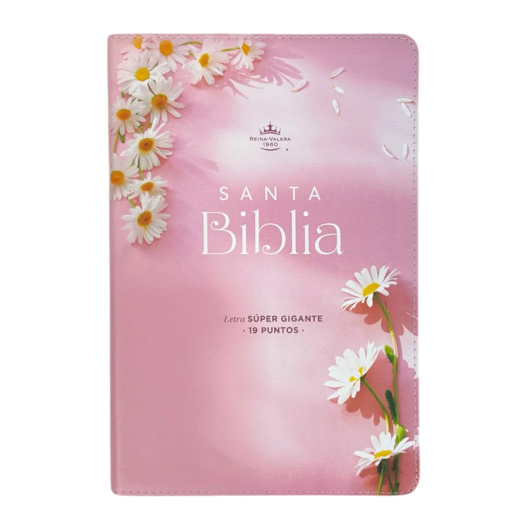 BIBLIA LETRA SÚPER GIGANTE REINA VALERA 1960 MUJER VIRTUOSA CANTO PINTADO ROSA