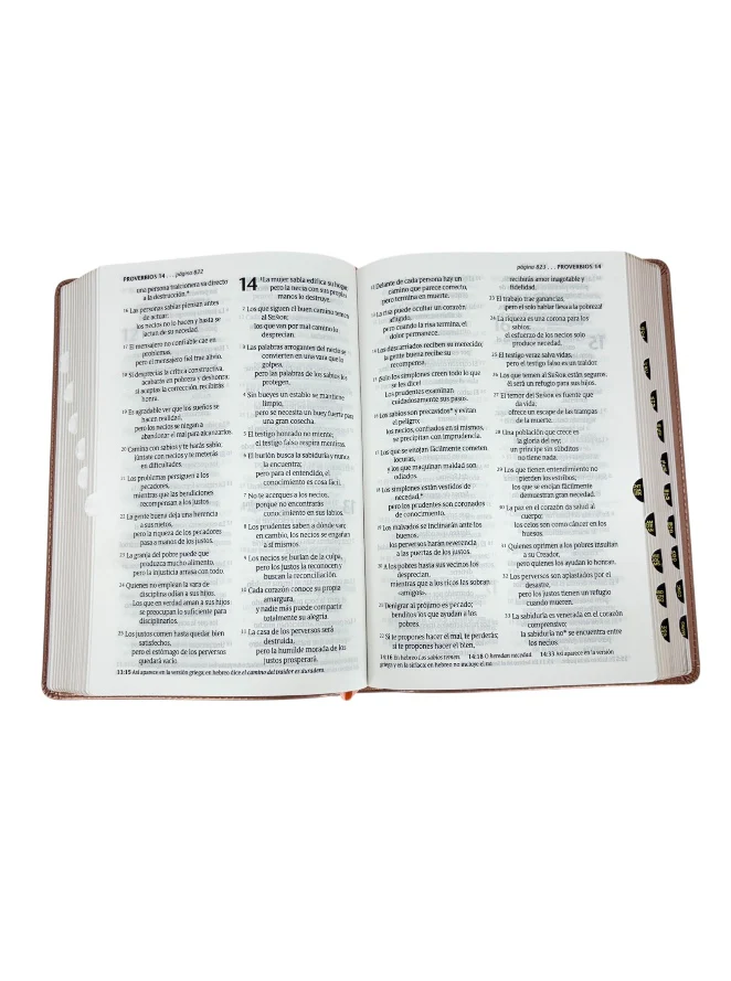 BIBLIA NTV EDICIÓN PERSONAL LETRA GRANDE SENTI PIEL/ ROSA METALICO INDICE