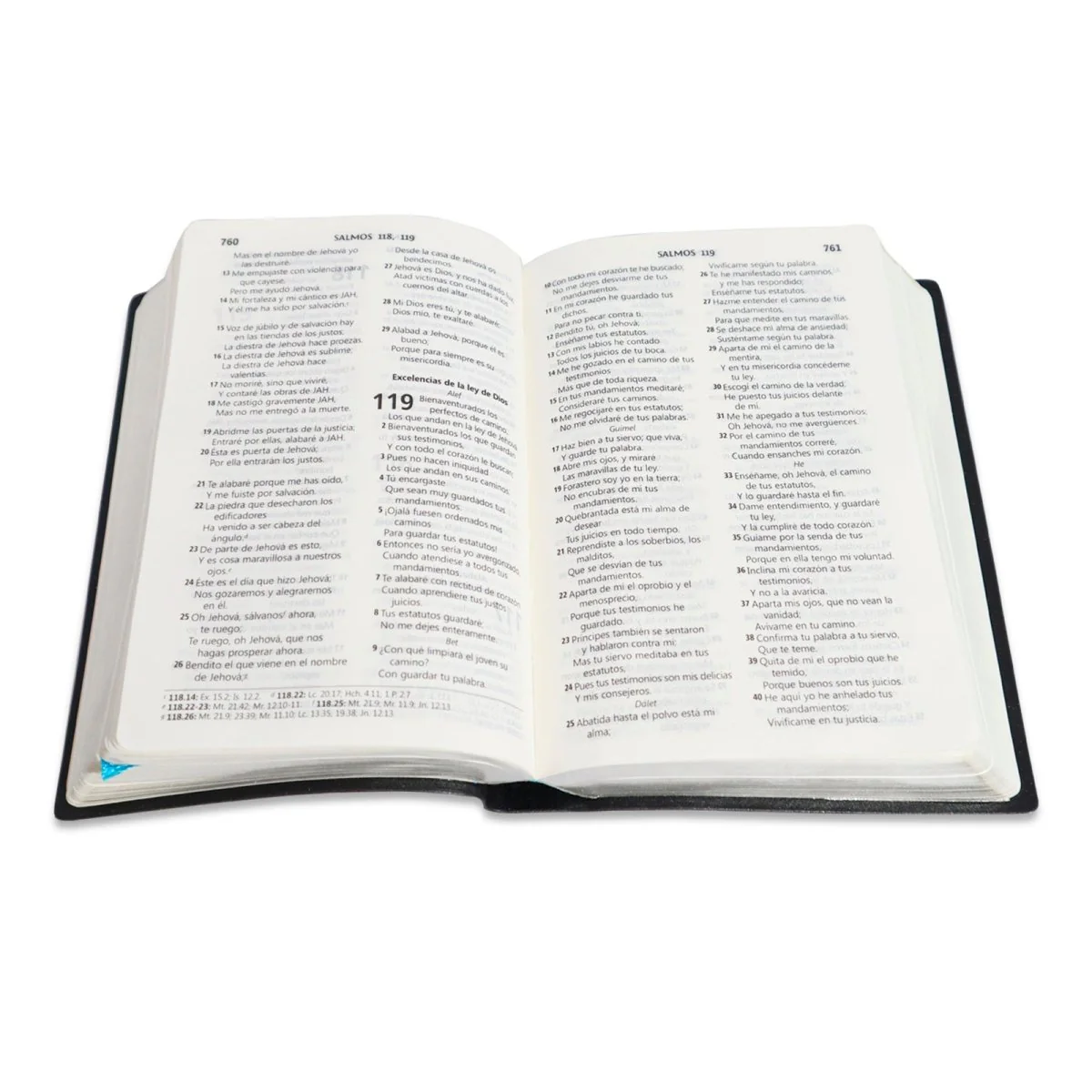 BIBLIA CHICA RVR1960 VINIL ROSA/AZUL TROQUELADA