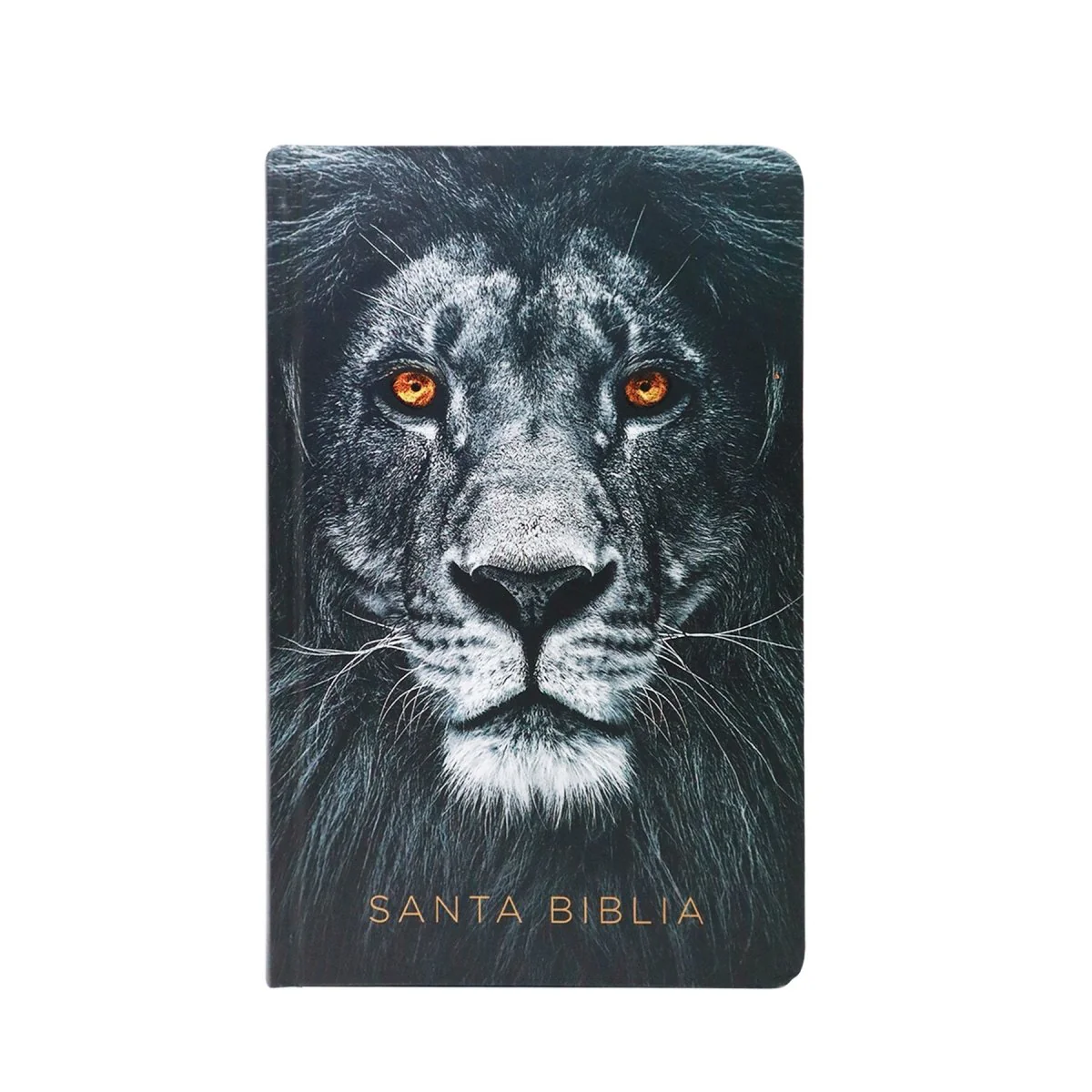 BIBLIA REINA VALERA 1960 LETRA GRANDE LEON DE JUDA/INDICE