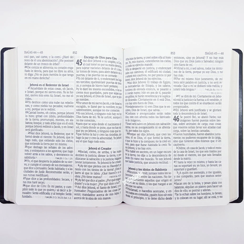 Biblia Letra gigante, Reina-Valera 1960 LUJO