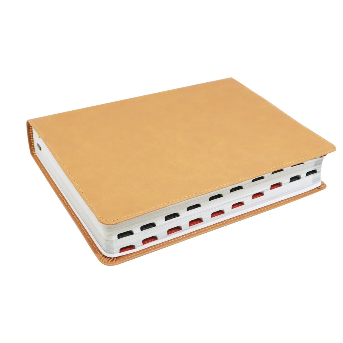 BIBLIA ILUSTRADA DE LA TIERRA SANTA  RVR1960, IMITACIÓN PIEL/CAFE CLARO