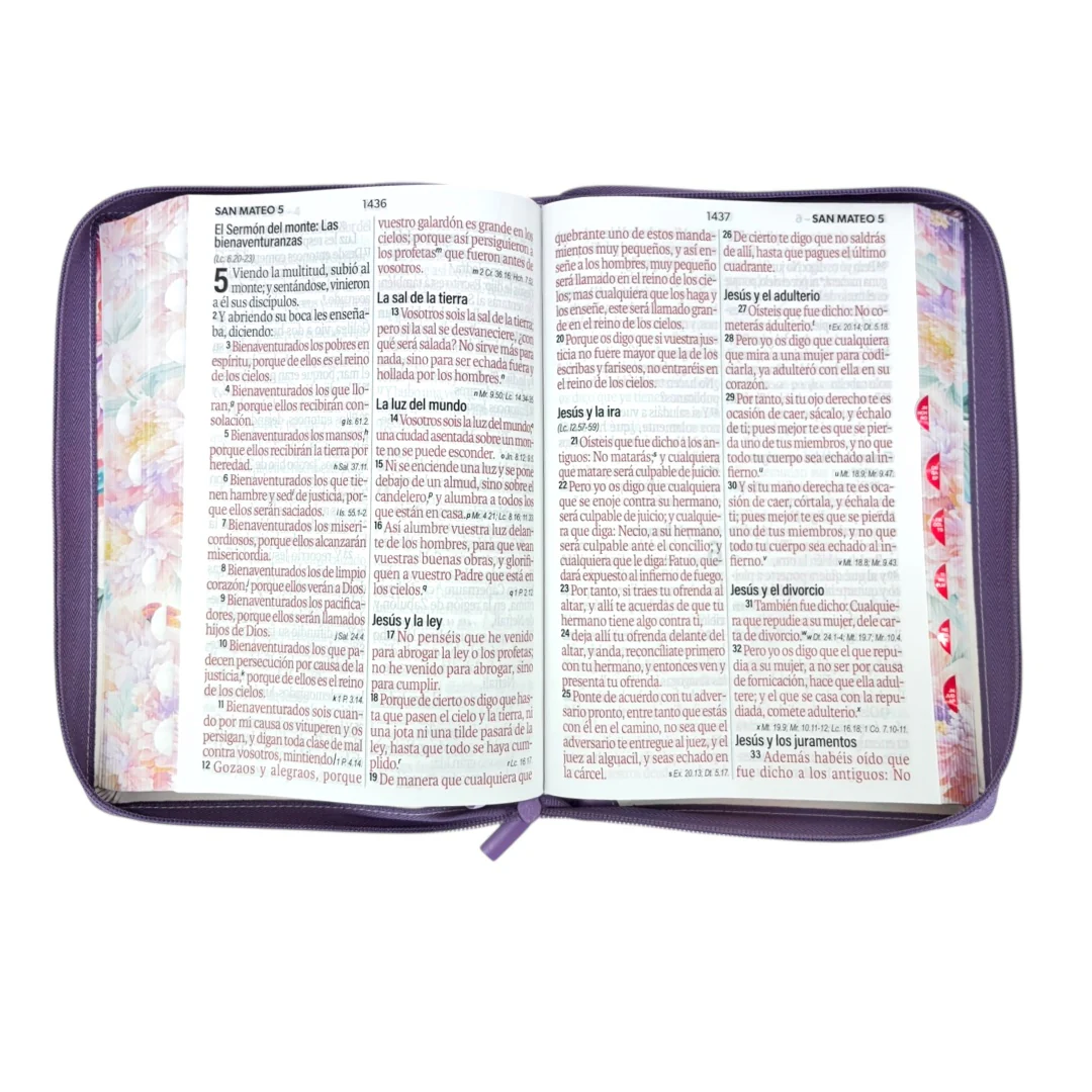 BIBLIA REINA VALERA 1960 SÚPER GIGANTE JARDIN CANTO PINTADO  C/CIERRE INDICE  IMIT PIEL DE ALTA CALIDAD