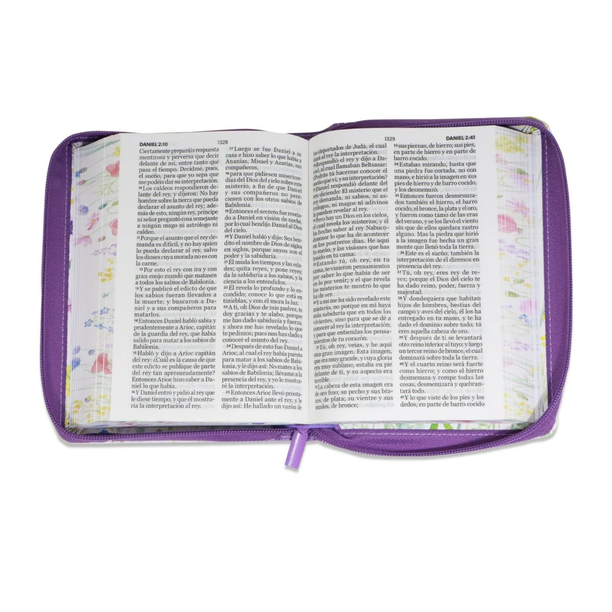 BIBLIA REINA VALERA 1960 LETRA GRANDE COMPACTA CIERRE  CANTO PINTADO