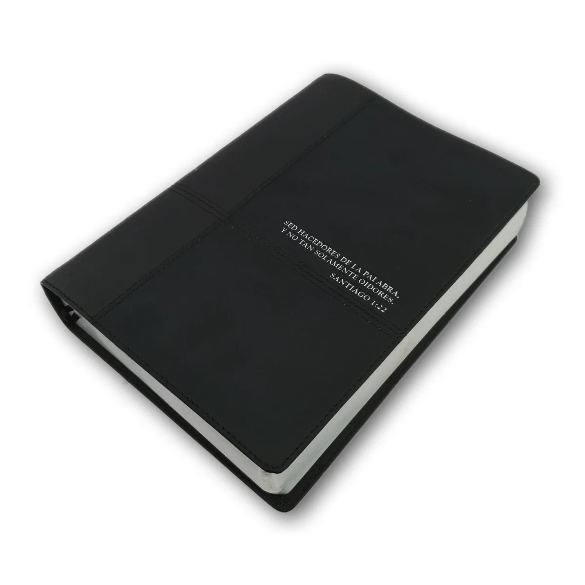 Biblia de estudio Diario Vivir RV60 Sentipiel