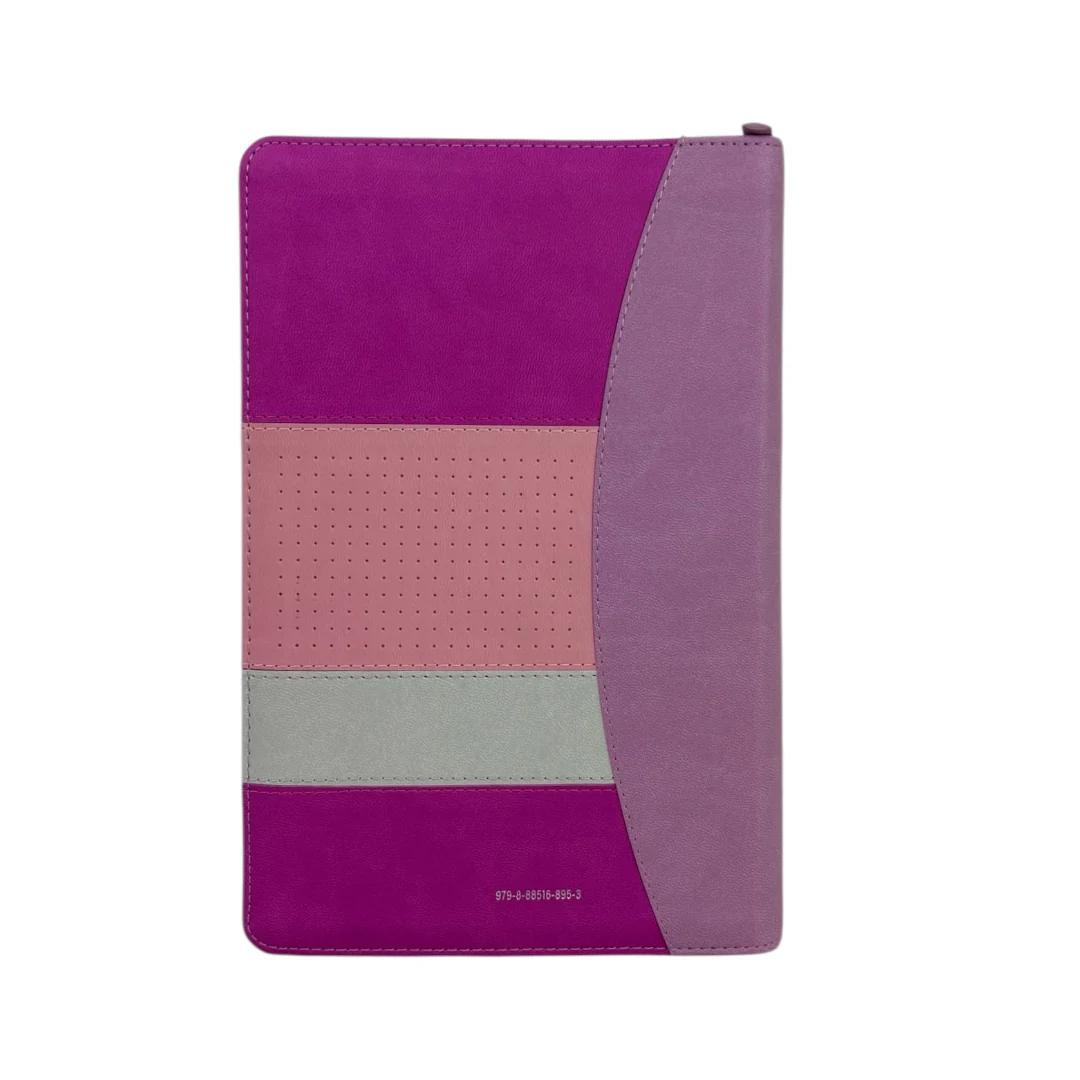 BIBLIA REINA VALERA 1960 LETRA GIGANTE IMITACION PIEL ICONIC C/CIERRE INDICE