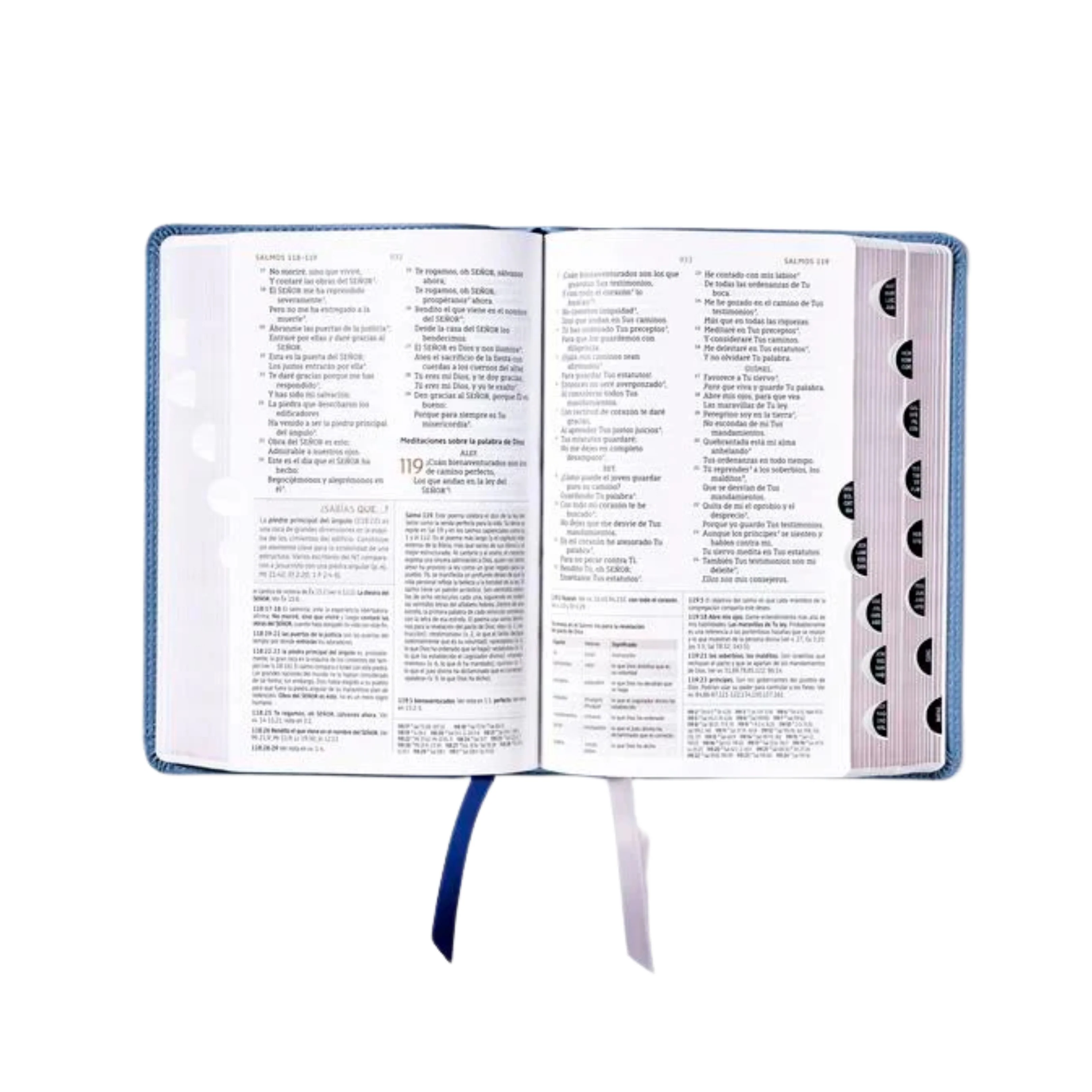 Biblia Estudio NBLA Leathersoft Gris con Indice