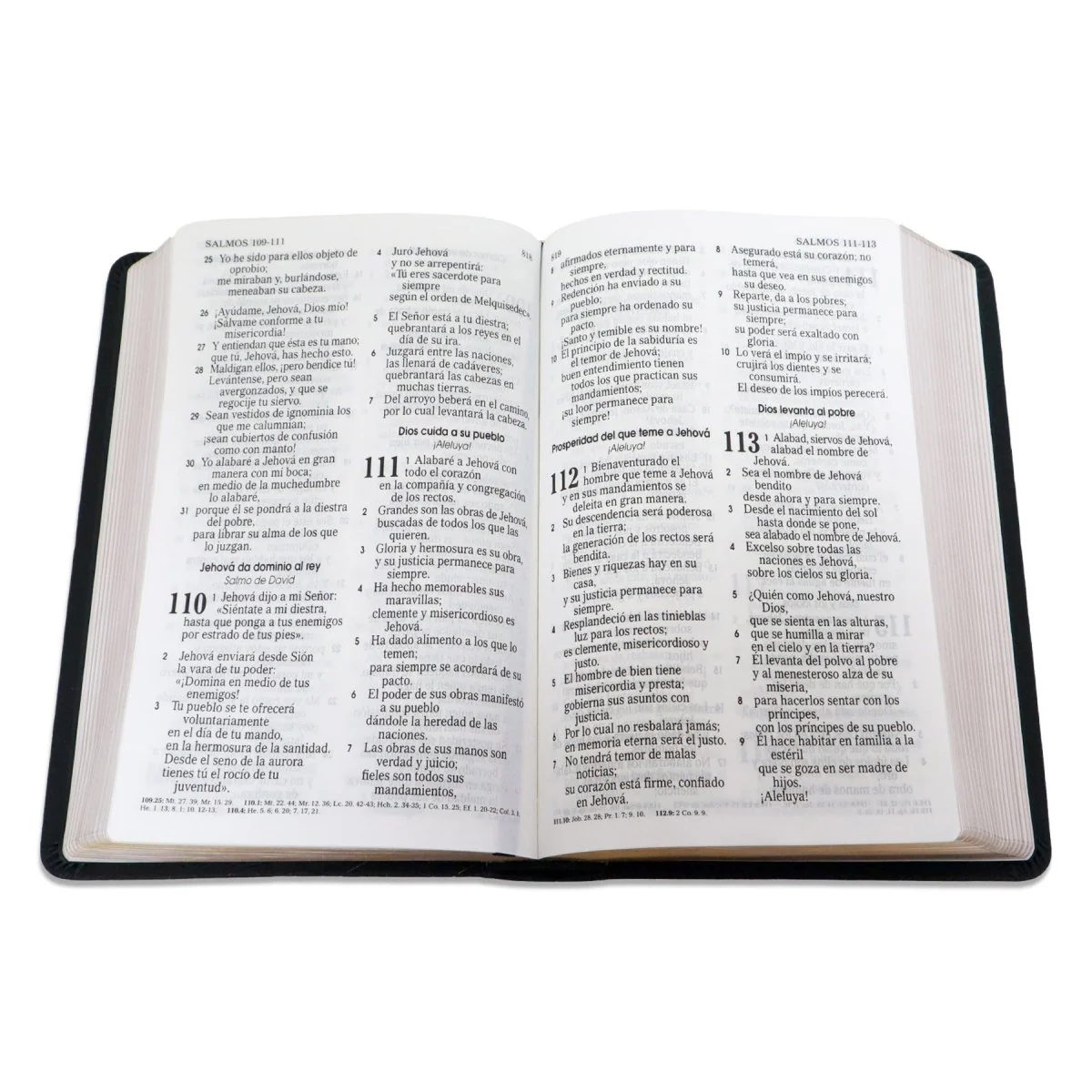 BIBLIA E HIMNARIO Y FE DE JESÚS LETRA GRANDE